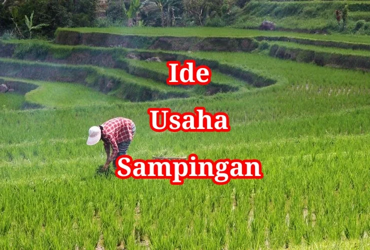 Ide Usaha Sampingan