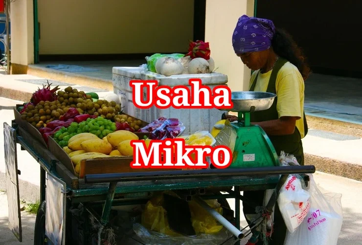 Usaha Mikro