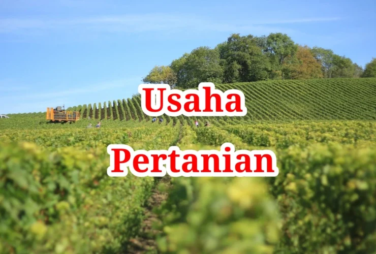 Usaha Pertanian