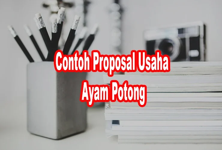 contoh proposal usaha ayam potong