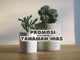 promosi tanaman hias