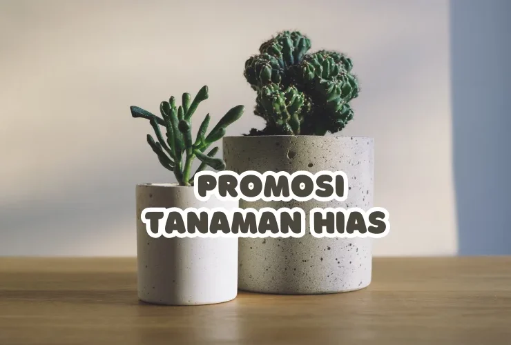 promosi tanaman hias