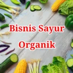 Bisnis Sayur Organik