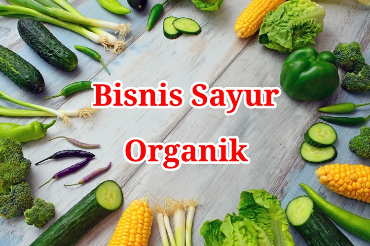 Bisnis Sayur Organik
