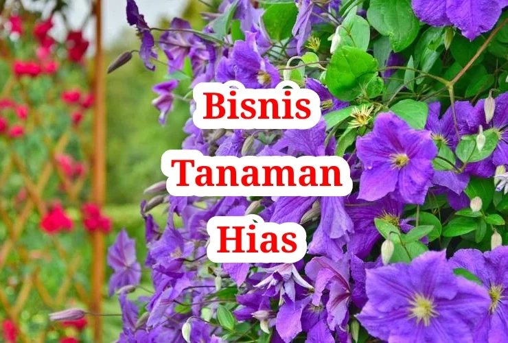 Bisnis Tanaman Hias