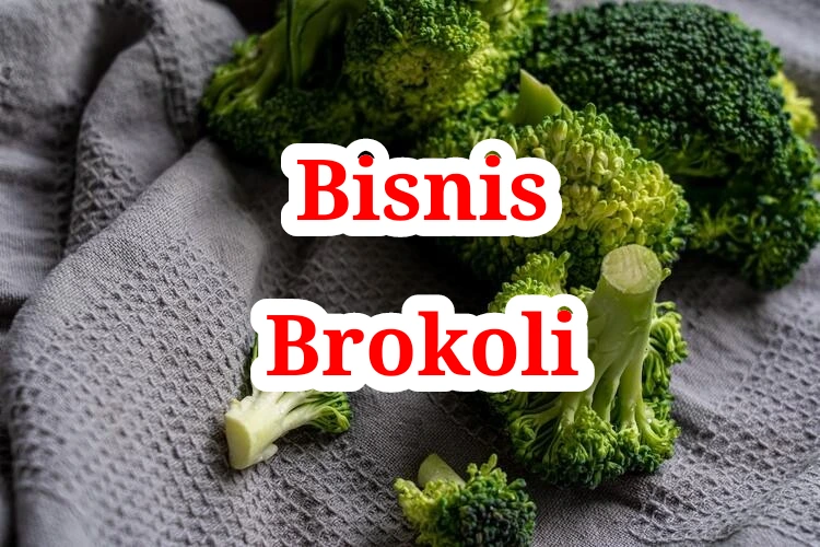 Bisnis Brokoli