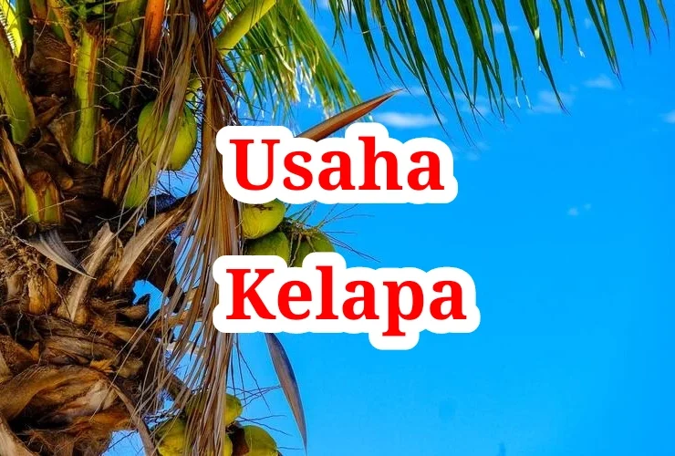 Usaha Kelapa