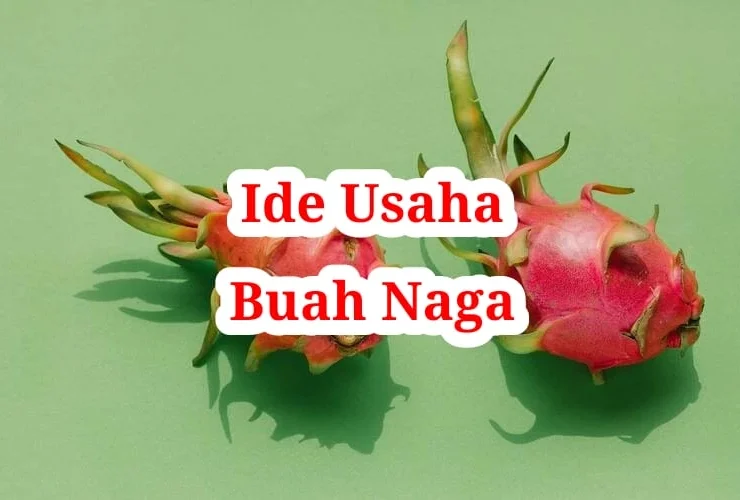 Ide Usaha Buah Naga