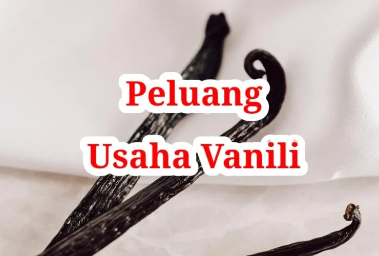 Peluang Usaha Vanili