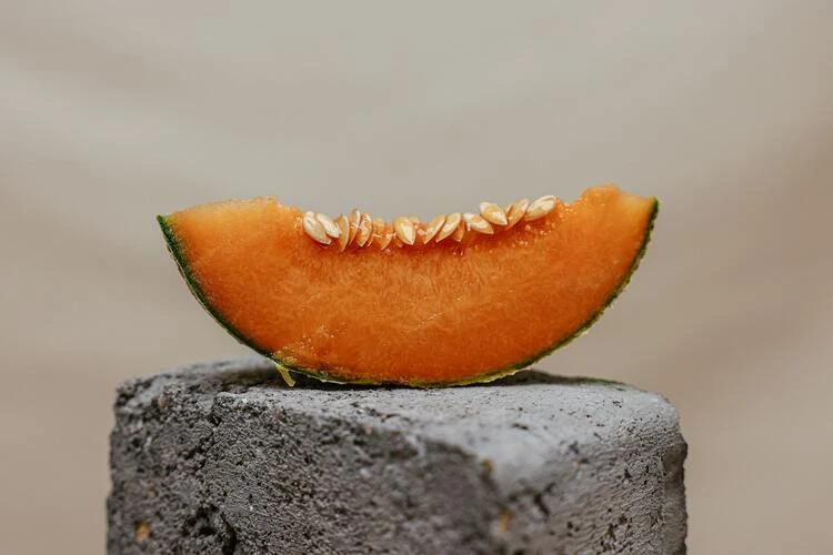 Keuntungan Menjalankan Usaha Melon