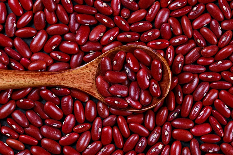 Analisis Memulai Usaha Kacang Merah