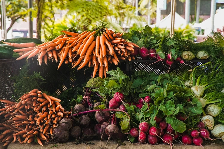 Tips Mengembangkan Bisnis Sayur Organik