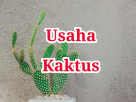 Usaha Kaktus