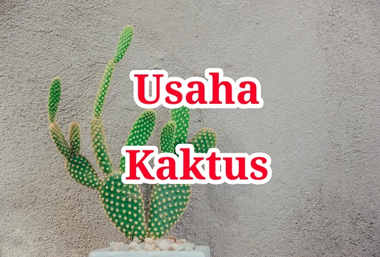 Usaha Kaktus