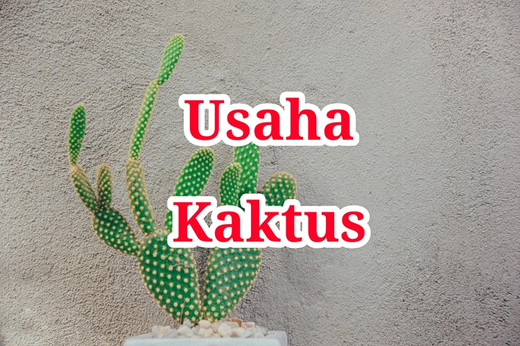 Usaha Kaktus