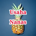 Usaha Nanas